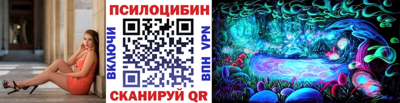 Купить закладки Чекалин Псилоцибиновые грибы ЛСД